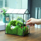 HighFree Geometric Plant Terrarium with Lid (Black with Side Door) - Image 5
