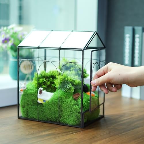 HighFree Geometric Plant Terrarium with Lid (Black with Side Door) - Image 5