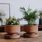 Yungyan 2 Set 4.3'' Rustic Terracotta Plant Pot with Drainage Saucer Vintage Breathable Clay Planter Farmhouse Flower Pot Distressed Finish for Flower Succulent Modern Home Garden Decor(Round) - Image 3