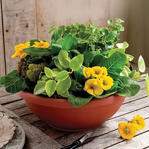 The HC Companies 24 Inch Large Garden Bowl Planter - Shallow Plant Pot with Drainage Plug for Indoor Outdoor Flowers, Herbs, Clay - Image 2