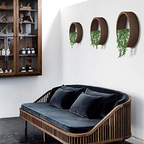 3 Pack Set Wall Planters,Modern Round Glass Wall Planter Succulent Planter Circle Iron Hanging Planter Vase for Herb,Small Cactus Perfect for Balcony, Room and Patio Decor (Black) - Image 6