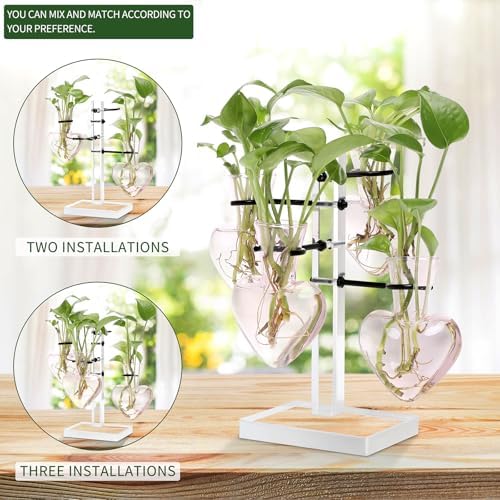 Plants Propagation Stations Plant Terrarium Kit Gift for Women - Image 3