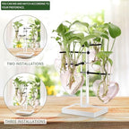 Plants Propagation Stations Plant Terrarium Kit Gift for Women - Image 3