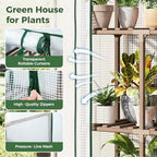 Bamworld 4 Tier Mini Greenhouse Portable Green House with PE Cover for Indoor Outdoor - Image 6