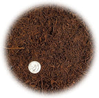 GARDENERA's Premium New Zealand Tree Fern - 5 Quart - Growing Medium for Orchids and Epiphytes | Provides Optimal Drainage and Aeration - Image 3