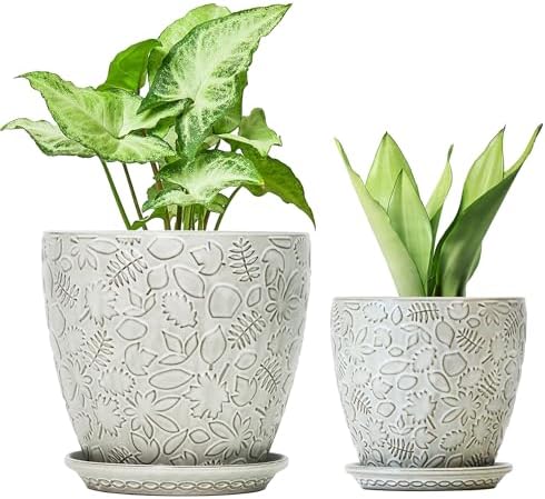 8 Inch + 6 Inch Retro Ceramic Planter Set of 2 with Drainage Hole and Saucer for Multiple Plants, Indoor-Outdoor Garden Pots for Succulent, Orchid, and Flower (Retro White) by Bestseler