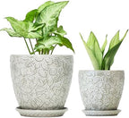 8 Inch + 6 Inch Retro Ceramic Planter Set of 2 with Drainage Hole and Saucer for Multiple Plants, Indoor-Outdoor Garden Pots for Succulent, Orchid, and Flower (Retro White) by Bestseler