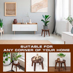 Demigo Indoor Plant Stand, 8 in Tall Acacia Wood Plant Shelf, Dark Brown - Image 5