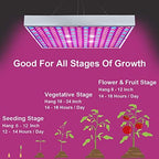 LED Grow Light 225 LEDs Plant Lights Red Blue White Panel Growing Lamps for Indoor Plants Seedling Vegetable and Flower (2 Pack) - Image 4