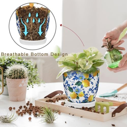 5.3+4.3 inch Ceramic Plant Pots, Set of 2 Blue and White Plant Pot with Drainage Holes and Saucers Small Lemon Indoor Planters Decorative Flower Pots for Succulents, Cacti, Snake Plants, and Herbs - Image 4