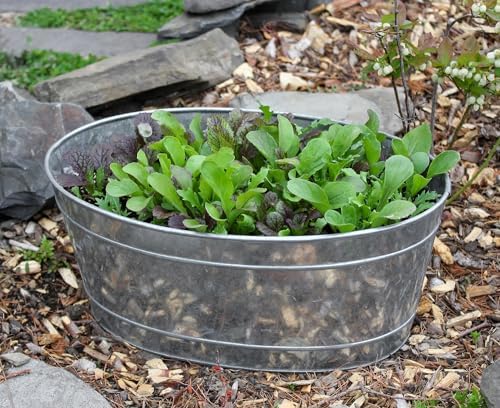 Small Oval Galvanized Tub - Image 4