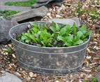 Small Oval Galvanized Tub - Image 4