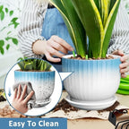 8 Inch Ceramic Plant Pot, Blue + White - Image 4