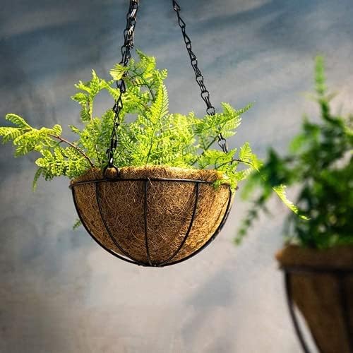 Wizdar Metal Hanging Planters Basket, 5PCS, 12 Inch Round - Image 6