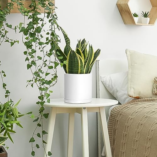 D'vine Dev 4-Pack White Plastic Planters with Saucers, 6.5 in, 74-Z-L-2 - Image 6