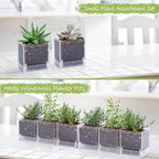 D'vine Dev 6-Pack Acrylic Herb Planter Pots, 4 in, Clear, 76-Y-D-1 - Image 4