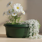 13 inch by 5 inch Hunter Green Pot with Saucer - Image 3