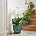Ceramic Plant Pots - 10 Inch Plant Pot for Indoor Outdoor, Round Planter with Drainage Hole and Tray, Decorative Flower Pots, Modern Planters, Home Patio Garden Decor, Garden Gifts, Green - Image 6