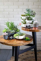 The HC Companies 8 Inch Round Plastic Succulent Capri Bowl Decorative Indoor Flower Succulent Planter Pot with Drain Plug Hole, Faux Concrete Color (2 Pack) - Image 4