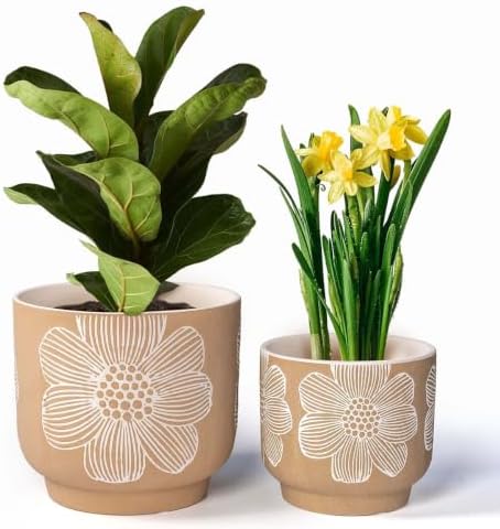 Ceramic Plant Pots, 8+6 Inch, 2 Pcs Indoor Planters with Drainage Holes by YBXYIBOXUAN