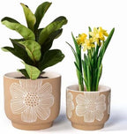 Ceramic Plant Pots, 8+6 Inch, 2 Pcs Indoor Planters with Drainage Holes by YBXYIBOXUAN