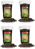 Gardenera Begonia Plant Potting Mix - Elevate Your Space with a Premium Blend for Captivating Flower Beauty - 20 Quart by Gardenera