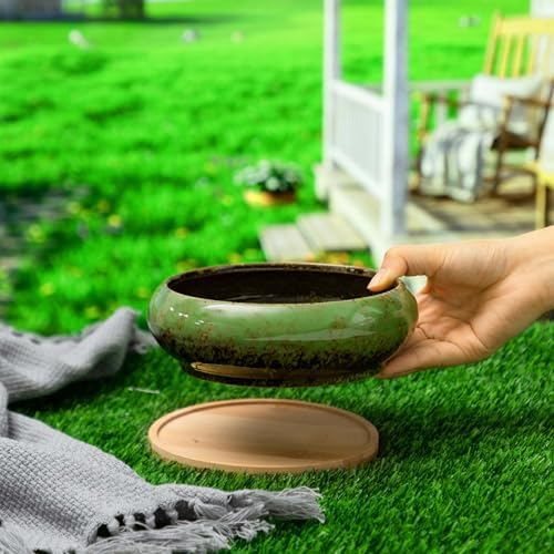 2 Pcs 7.3'' Shallow Succulent Planters Pots, Green - Image 5