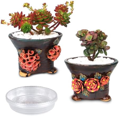 5.5 Inch Succulent Pot Handmade Flower Design Round Ceramic Antique Plant Pot Cactus Pot Planter with Drainge and Saucer Set of 2 (Two Hydrangea and Rose) by SUMMERIMPRESSIONS