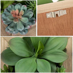 GnFlus Artificial Succulent Wall Decor - Fake Hanging Succulents with Wood Plant Box, 3D Wooden Wall Decor Faux Hanging Plants Indoor Arrangement - Image 2