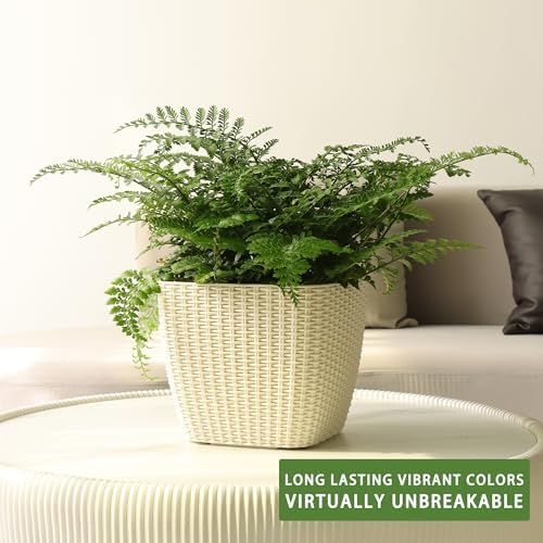Dexceder 11x10 Self Watering Planter (Ivory White Rattan) - Image 6