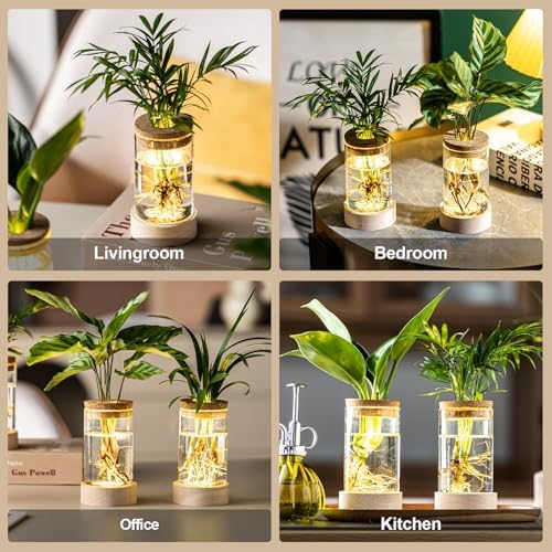 Glass Plant Propagation Stations, Propagation Vases for Plants with Ambient Light Base, Hydroponic Vase for Home & Office Windowsill Tabletop Decoration Desktop Vases for Living Room, Bedroom (6) - Image 4