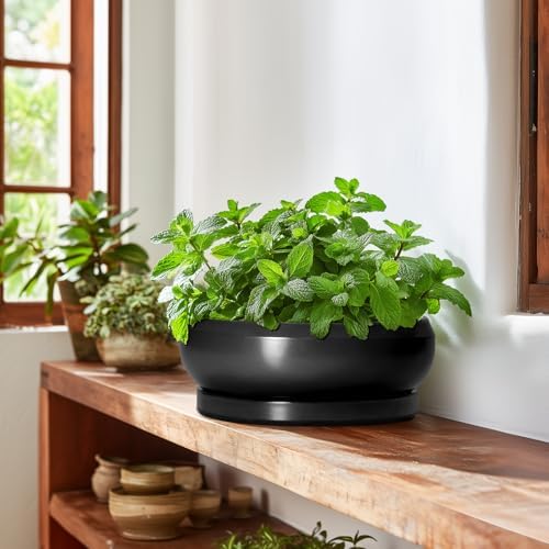 Bonsai Pots 10 Inch - Ceramic Succulent Planters Indoor Outdoor, Bonsai Pots with Drainage Hole and Tray, Modern Shallow Planter, Round Bowl Planter, Garden Decor, Garden Gift, Black - Image 6