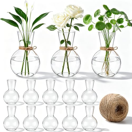10 Pack Glass Plant Propagation Stations, Plant Terrarium Bulb Glass Propagation Vases with Hemp Rope, Clear Hydroponics Jars Gardening Gifts for Home Office Desk Decoration by Ferrochef