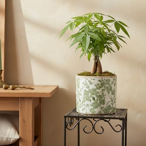 7.7" Large Green Plant Pots, Farmhouse Ceramic Flower Pots without Drainage - Image 3
