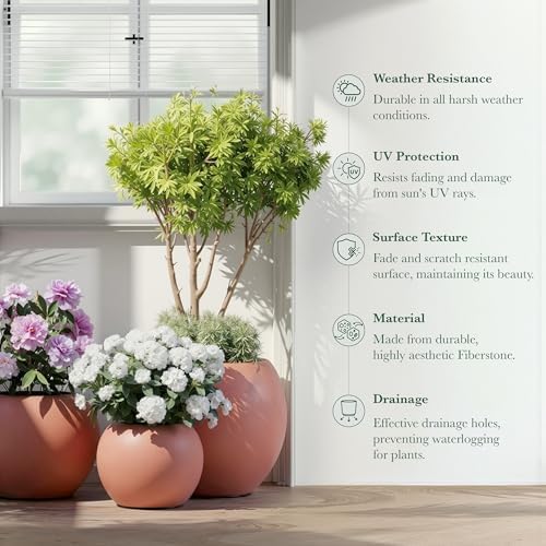 DTY Premium Mt Sherman Fiberstone Sphere Planter for Indoor Outdoor Use, Round Pot for Olive Tree, Lightweight, Smooth Finishes. 2 Coco Mats. Terracotta, Large 21.1'' D x 16.7'' H. 14.6” Pot Opening - Image 7