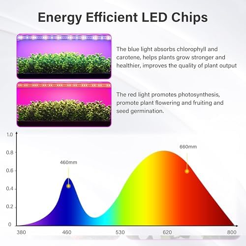 iPower 2Pack 60W LED Grow Lights with Full Spectrum Plant Growing Light Strips for Indoor Plant with Auto ON/Off 3/9/12H Timer, 10 Dimmable Levels 48 LEDs Per Tude, 4 Tubes, Red&Blue - Image 5