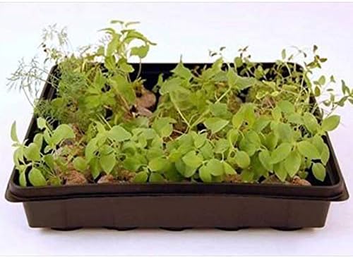 Living Whole Foods Plant Germination Drip Trays - Pack of 100-10" by 10" Black Plastic Greenhouse Growing Trays with No Drain Holes - for Seedlings, Microgreens, Wheatgrass, More - Image 3