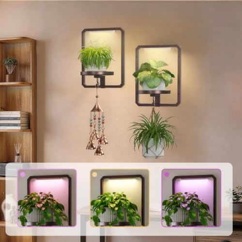 LASZOLA Plant Picture Frame Holder Shelf Wall with Lights, 2 Pcs Brown - Image 4