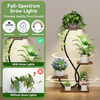 BACEKOLL Plant Stand Indoor with Grow Lights - 2 Pack Plant Shelf, Lighted Corner Plant Stands for Indoor Growing, 4 Tiered Metal Flower Holder, S-Shaped Decorative Shelves for Home, Hallway, Black - Image 3