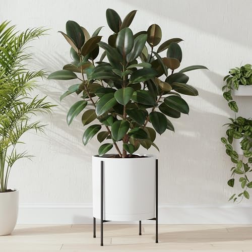 D'vine Dev Plastic Planter Pot with Metal Stand, White, 14 in, 55-D-A-4 - Image 7