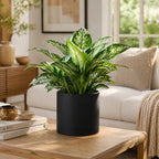Giraffe Creation 12 Inch Cylinder Plant Pot, Modern Round Planter with Drainage Holes and Saucer, Lightweight Plastic Flower Pot for Indoor Outdoor Plants, Black - Image 6