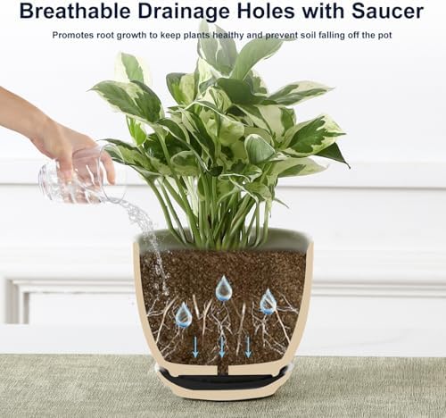 Sureasy Ceramic Indoor Plant Pots - 5.6 Inch Flower Pots for Plants with Drainage Hole and Saucer, Embossed Planter for Succulents, Orchid, Cactus, Indoor Home Decor, Set of 4, Black - Image 5