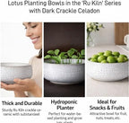 Lotus Bowl Planter 2 Pack, 7.5in & 6.5in, Shallow Vase - Image 4