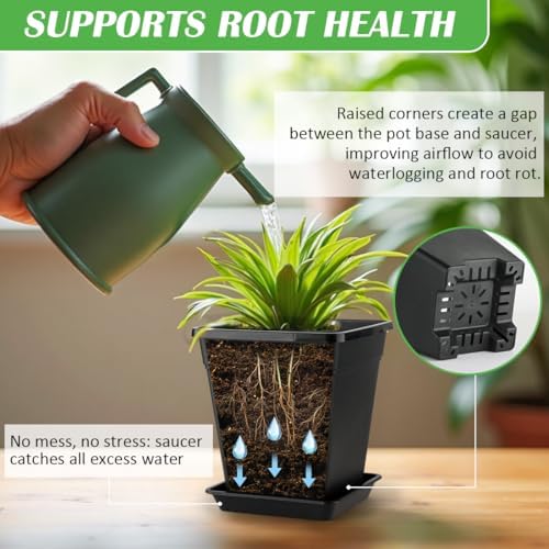 BTPLASTIK Square Plastic Planter 8 Inch, Plant Pots with Drainage Hole & Tray, 10 Pack Modern Decorative Garden Pot with Saucer, 1 Gallon Flower Pots Planters for Indoor Outdoor Plants - Image 4