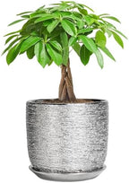 Ceramic Flower Pot - 7 Inch Ceramic Plant Pot for Indoor Flowers, Modern Outdoor Round Planter with Drainage Hole and Saucer, Gifts for Plant Lovers, Home Garden Decor, Silver by SUNPOTFOR