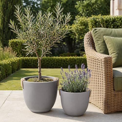 Large Tree Concrete Pot for Indoor, 13"&10" Modern Plant Pot for Home - Image 2