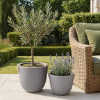 Large Tree Concrete Pot for Indoor, 13"&10" Modern Plant Pot for Home - Image 2