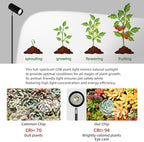 30W Full Spectrum Grow Light, 5000LM High-CRI COB LED Floor Lamp with 6/8/12H Timer, Adjustable Height (28"-83") & Angle, Grow Lights for Indoor Plants, Succulents & Flowers (daylight 6000K) - Image 3