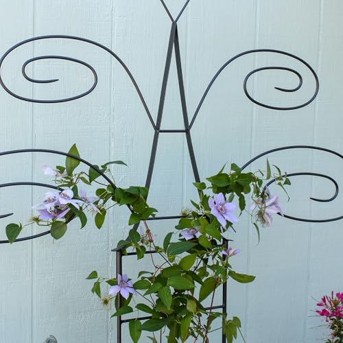 Butterfly Trellis - Image 4