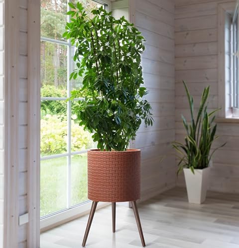 D'vine Dev Planter Pot with Wood Stand, 16 in, Terra Cotta, 88-Z-E-3 - Image 6